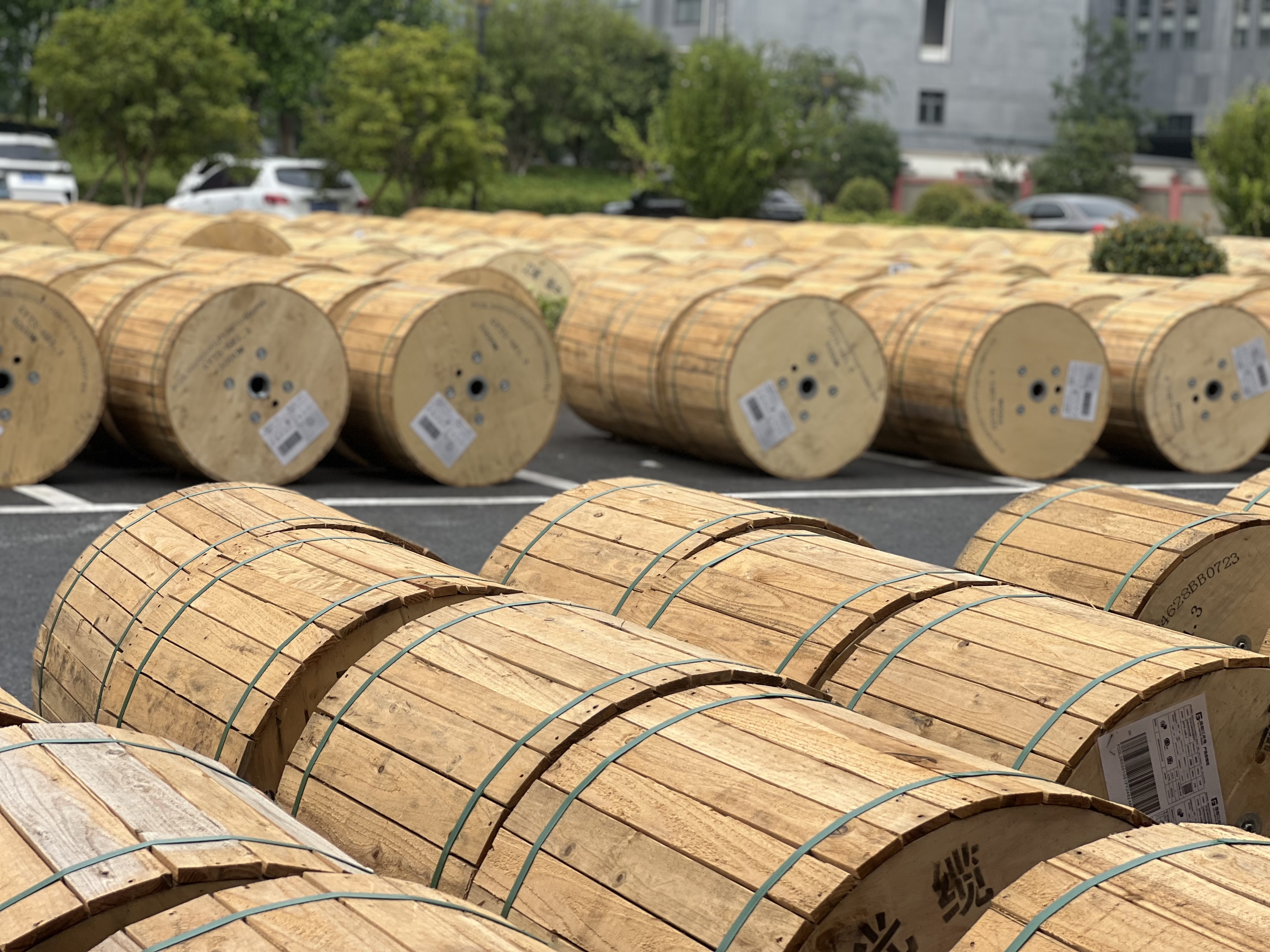 ASU Fiber Optical Cable 80M Span